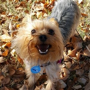 Meet your Posher, Darren